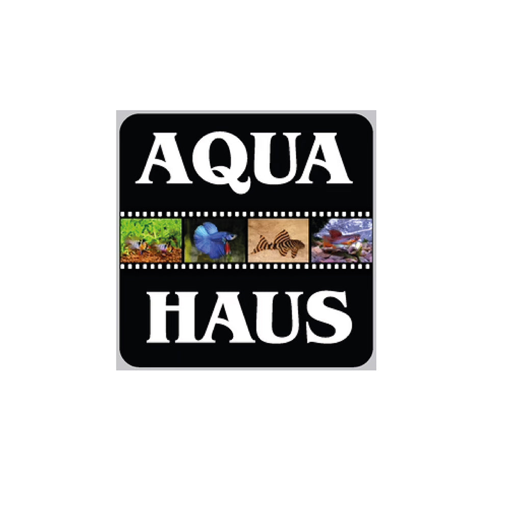 Logo Aqua Haus Dülmen