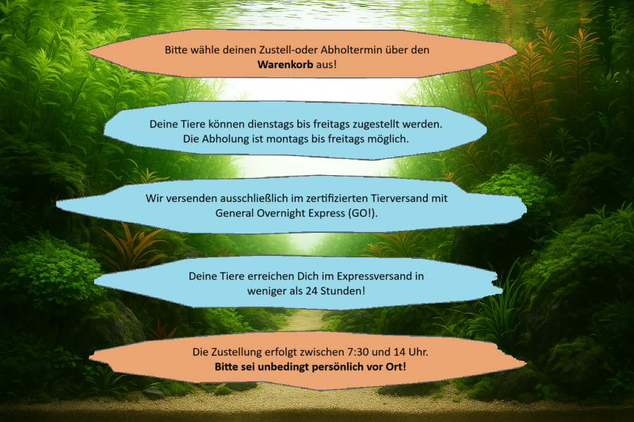 Ein paar Informationen zu unserem Tierversand - damit Deine Tiere perfekt zu Dir finden!