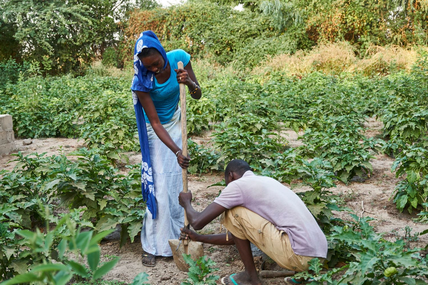 Familien und Gemeinschaften arbeiten gemeinsam für ein gutes Auskommen.