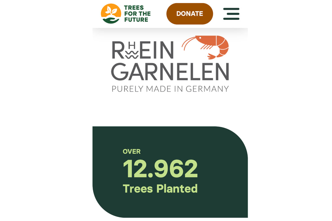 Baumaktion Spendenstand Ende 2022: 12962 Bäume