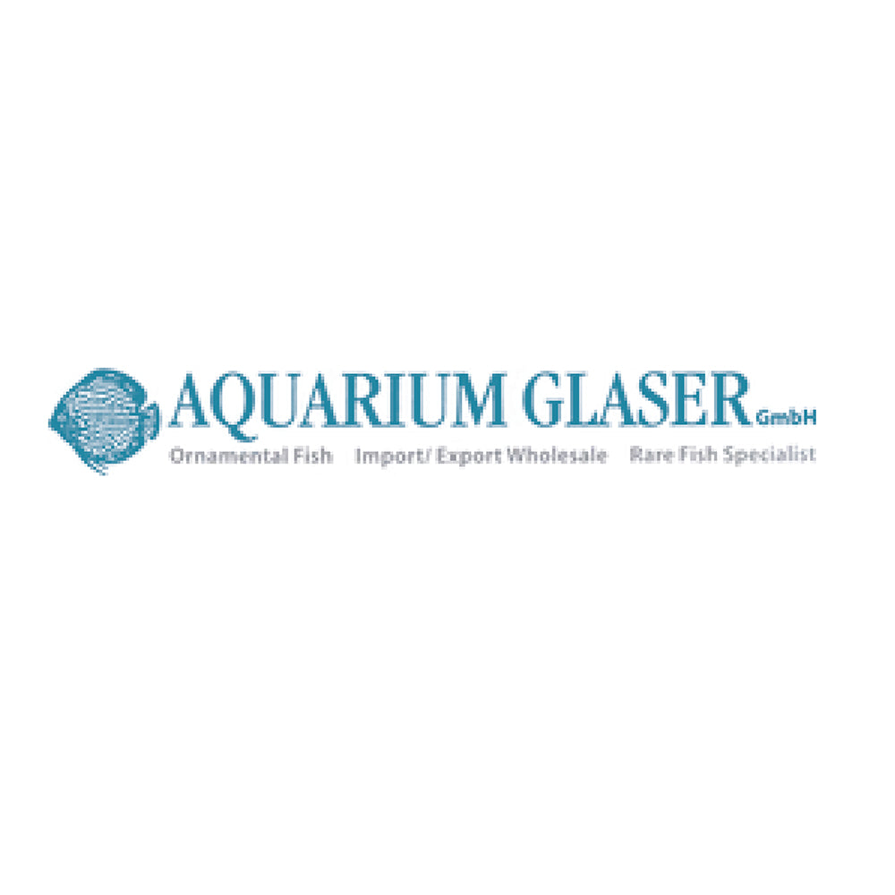 Logo Aquarium Glaser