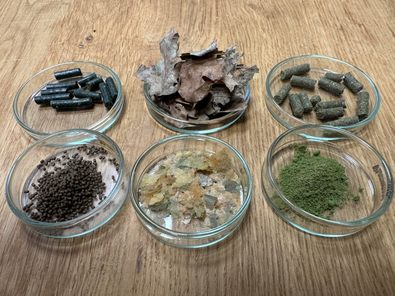 Verschiedenes Futter für Amanogarnelen wie Laub, Sticks, Pulver, Flockenfutter und Granulat