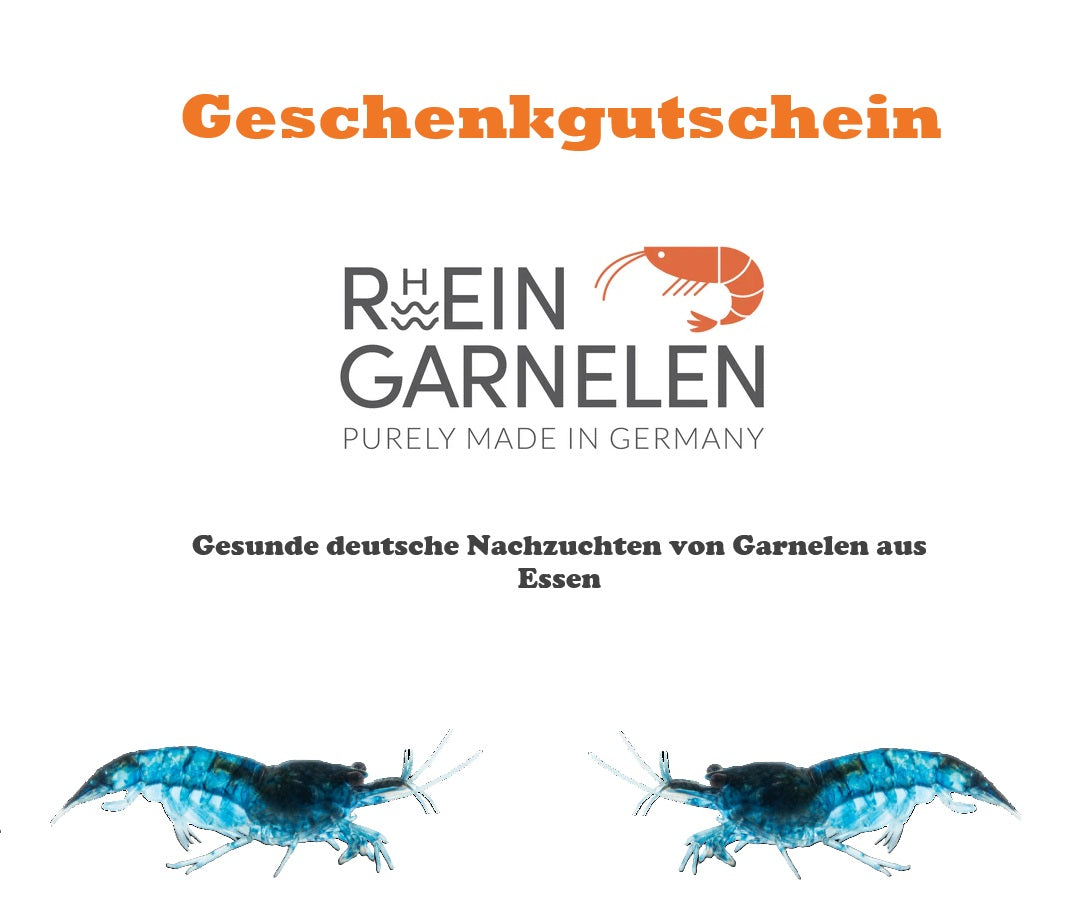 Geschenkgutschein von Rheingarnelen für das passende Geschenk für Garnelenfans