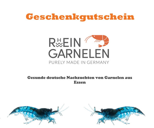 Geschenkgutschein von Rheingarnelen für das passende Geschenk für Garnelenfans