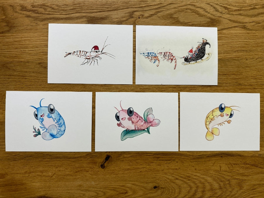 Postkarten Set mit verschiedenen Garnelen Motiven von Rheingarnelen